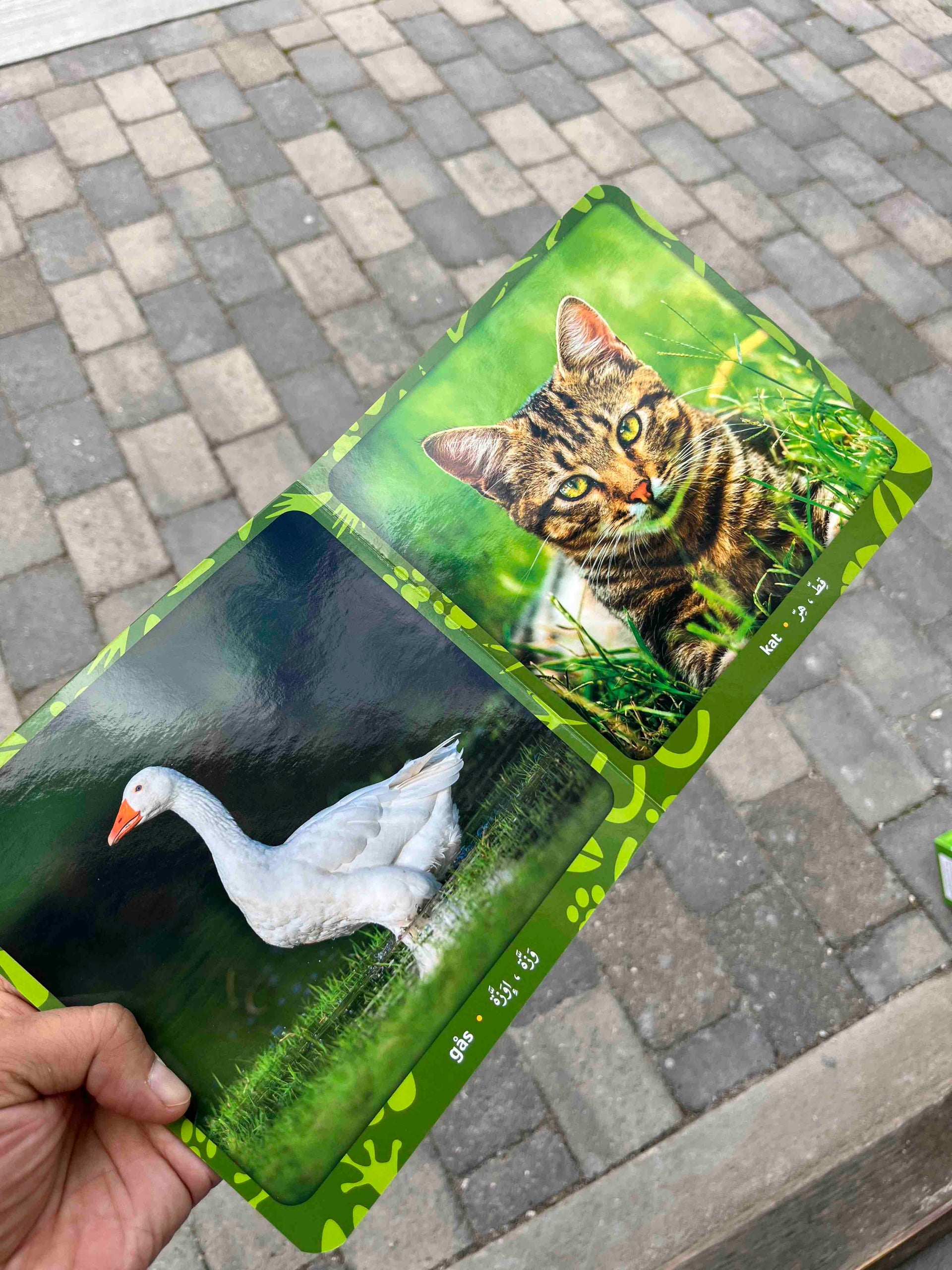 Min første pegebog - Bondegårdsdyr (dansk-arabisk) Min første pegebog - Bondegårdsdyr (dansk-arabisk)