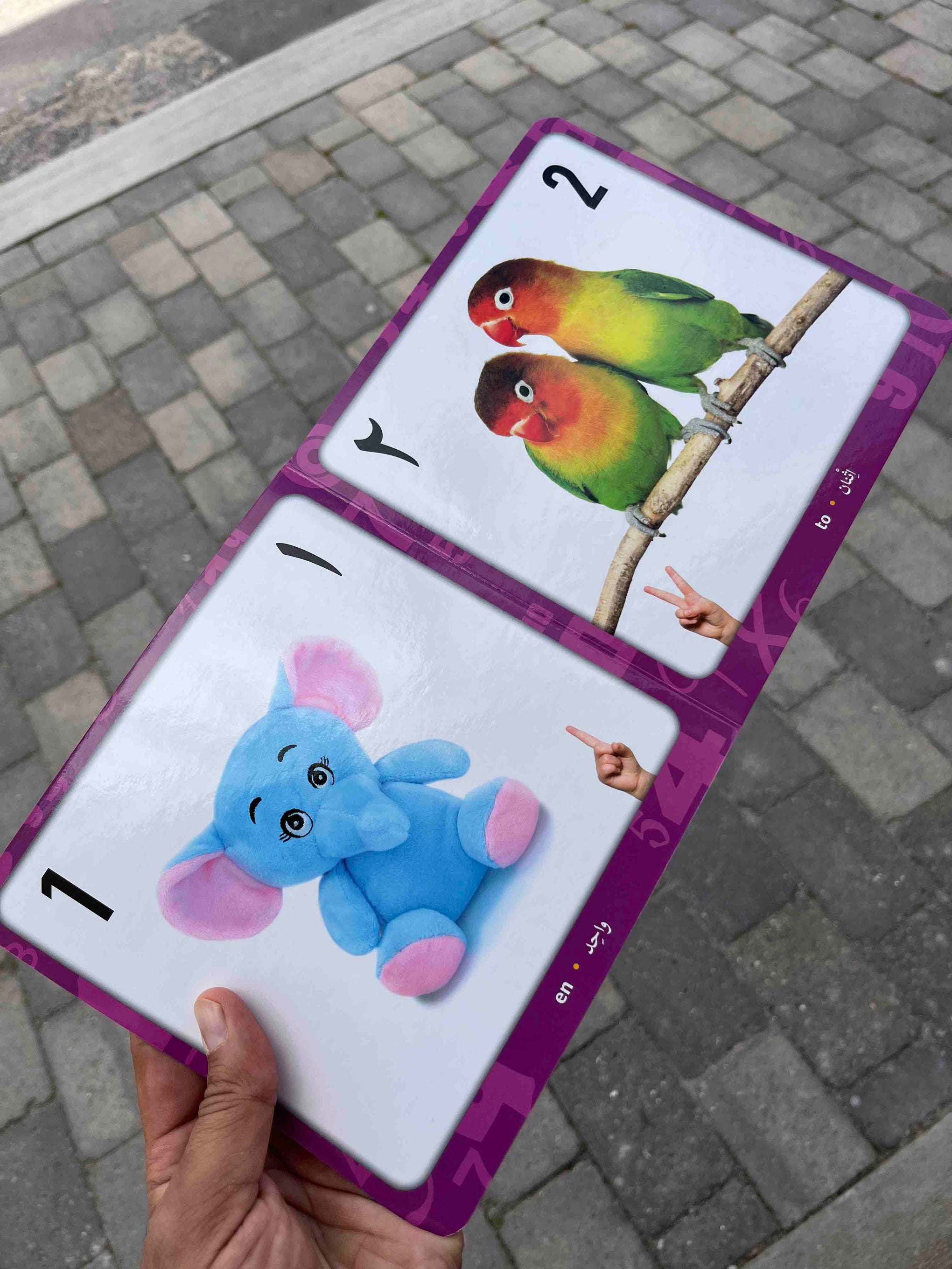 Min første pegebog - Tal (dansk-arabisk) Min første pegebog - Tal (dansk-arabisk)