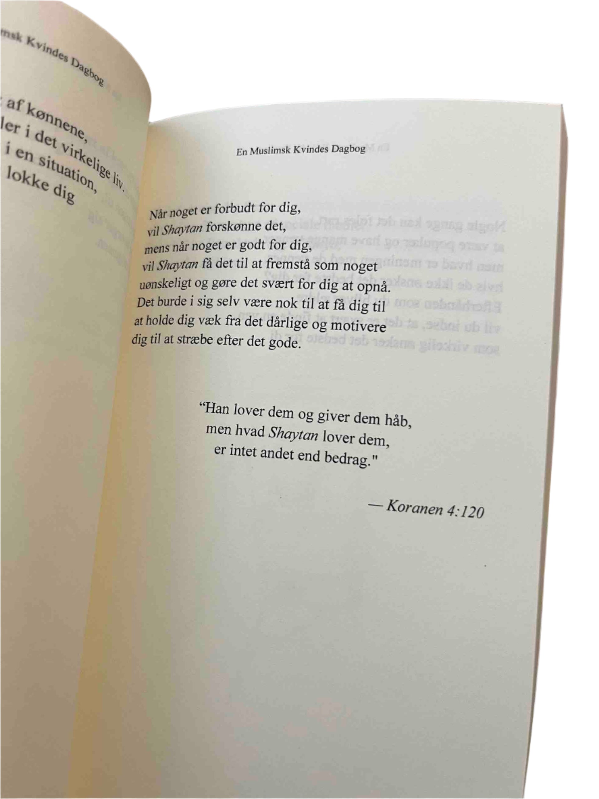 En muslimsk kvindes dagbog En muslimsk kvindes dagbog