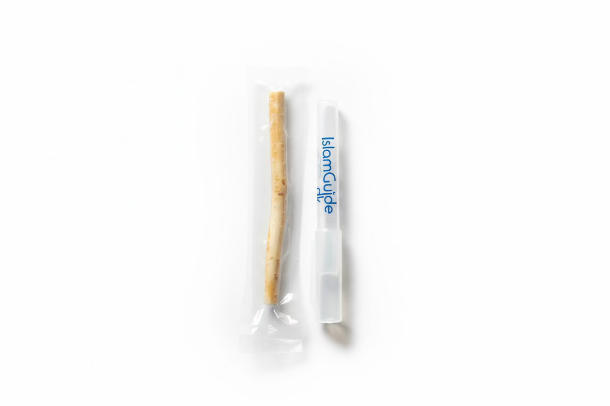 Siwak/Miswak - medium og large m/u etui