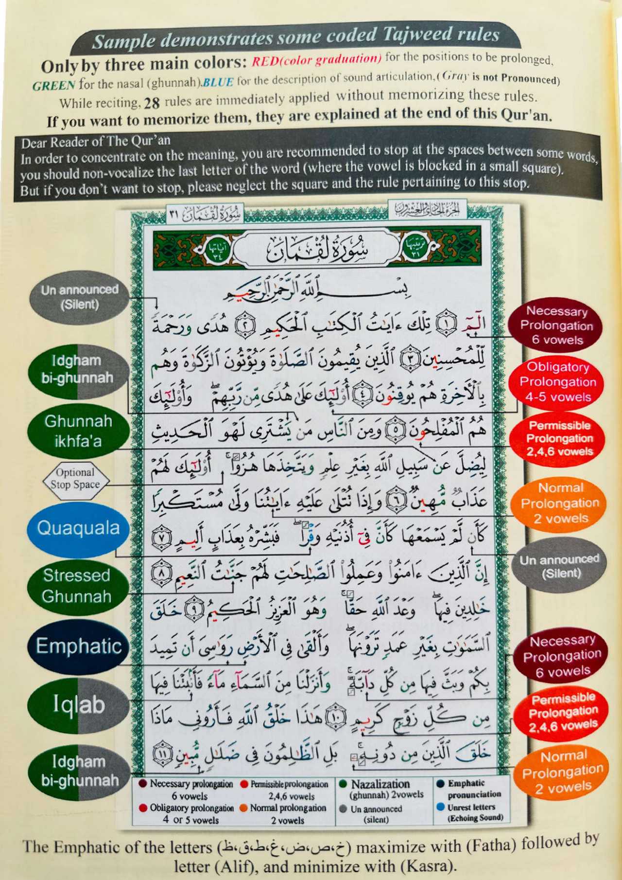 Tajweed Quran med engelsk oversættelse og transliteration