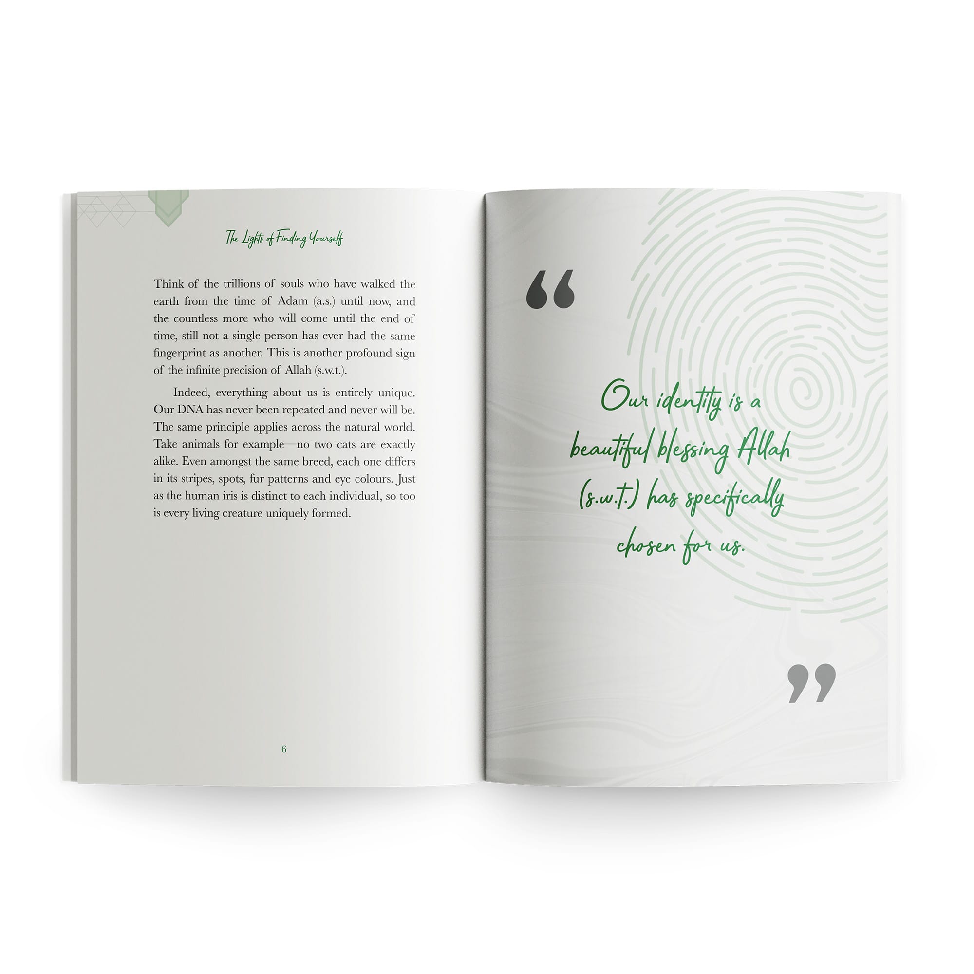 The Lights of Finding Yourself