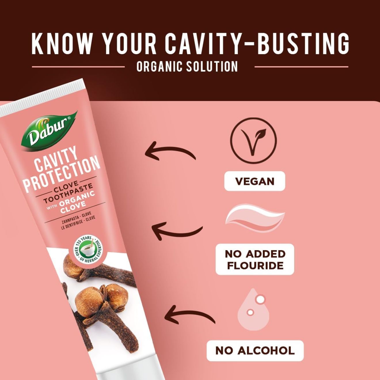 Dabur - Clove Toothpaste with Organic Clove - 100ml fluorfri økologisk kryddernellike tandpasta