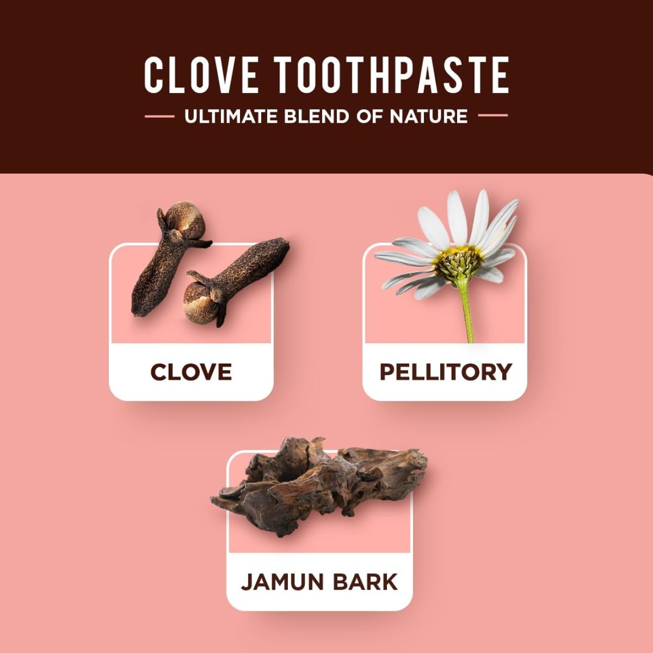 Dabur - Clove Toothpaste with Organic Clove - 100ml fluorfri økologisk kryddernellike tandpasta