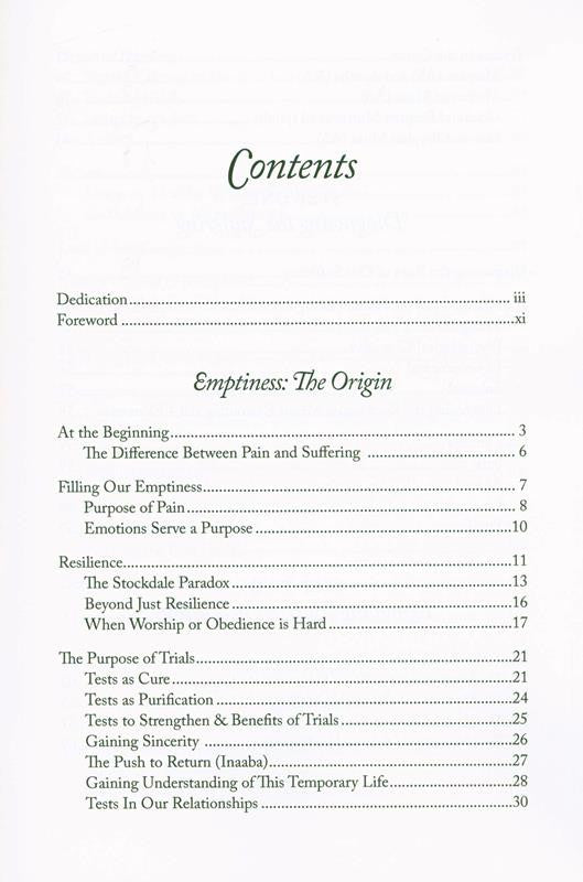 Healing the Emptiness - A Guide to Emotional and Spiritual Well-Being