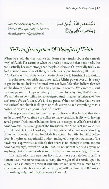 Healing the Emptiness - A Guide to Emotional and Spiritual Well-Being