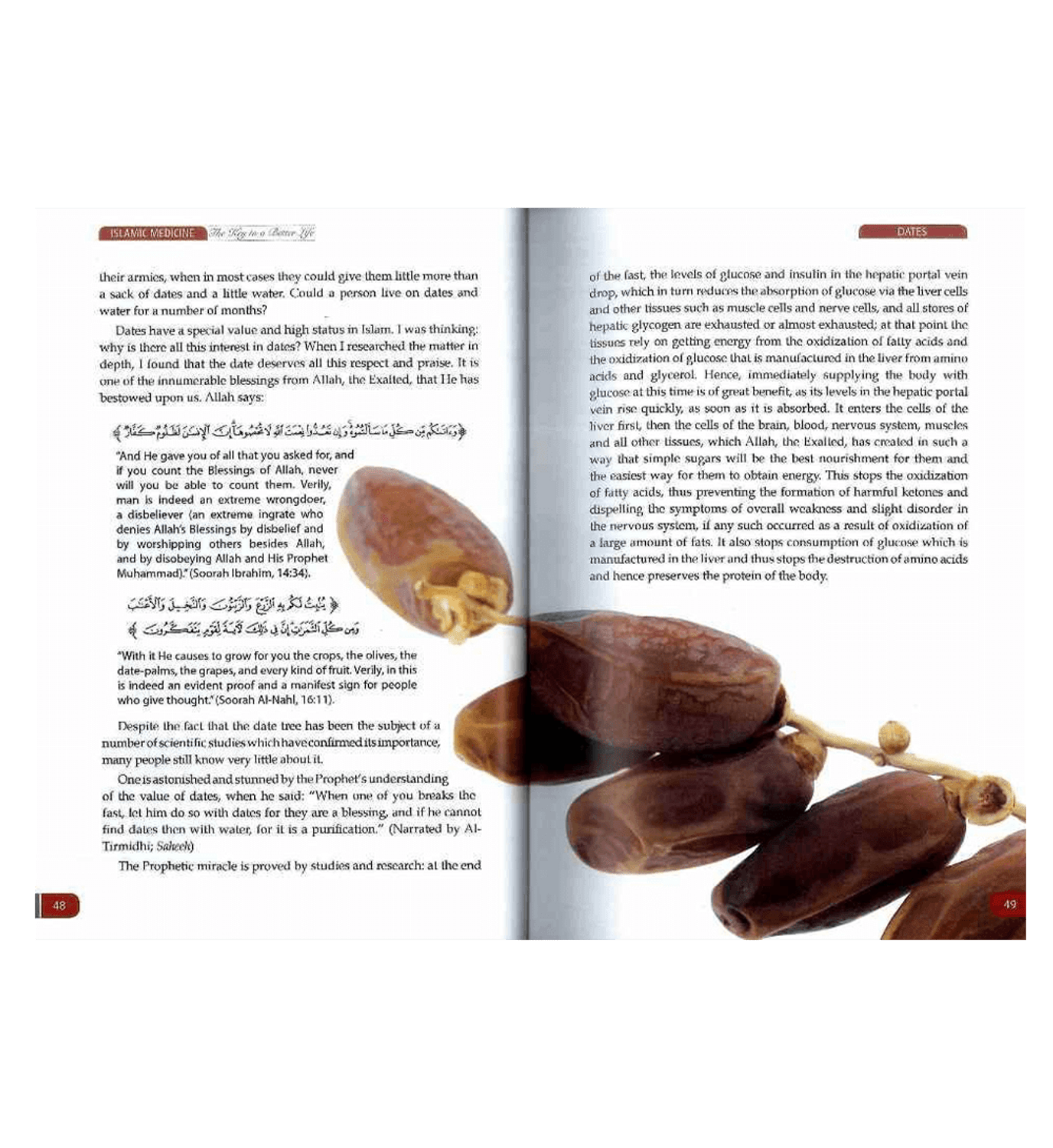Islamic Medicine - A Key to a Better Life