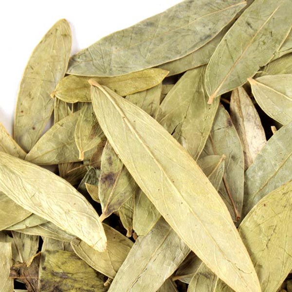 Økologiske tørrede Sennesblade - Senna Makki Leaves - 50g