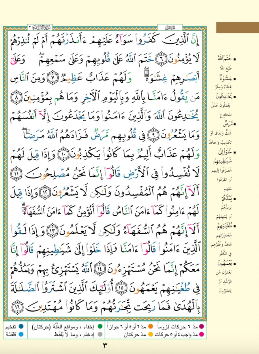 Tajweed Quran Hafs - 17x24cm
