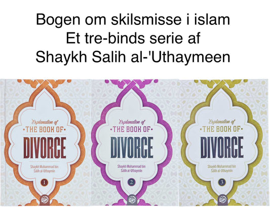 The Book of Divorce - 3 bind